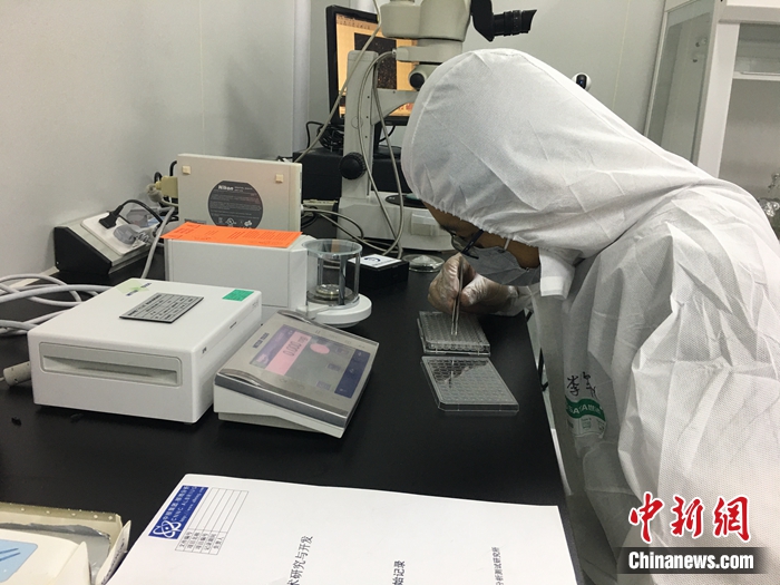 中国科学家首次发现月球新矿物“嫦娥石”。图片来源：中核集团核地研院
